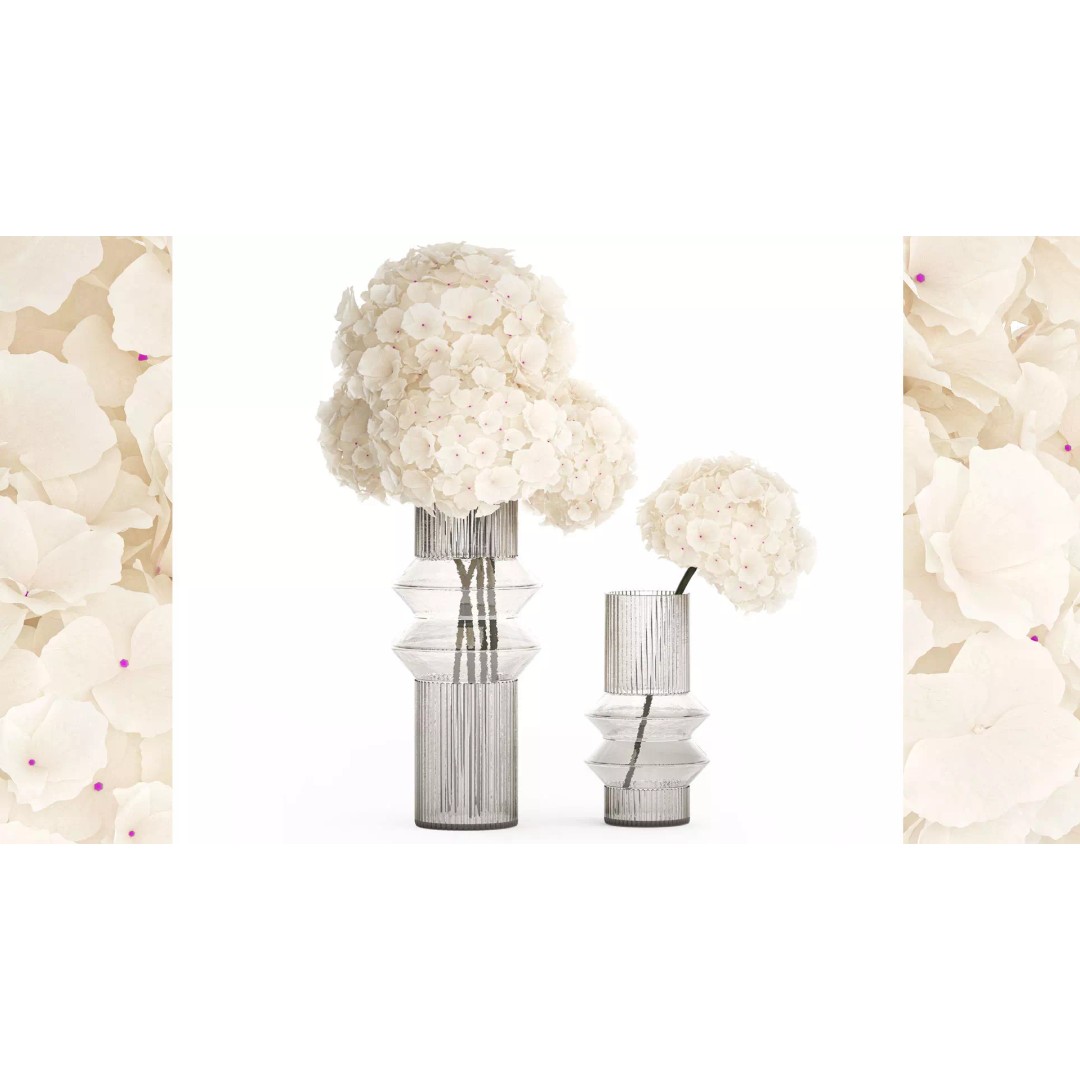 Solemn White Flower Bouquet 3D Model – Modern Hydrangea in Glass Vase - View 2