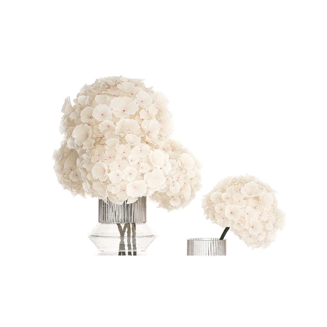 Solemn White Flower Bouquet 3D Model – Modern Hydrangea in Glass Vase - View 4