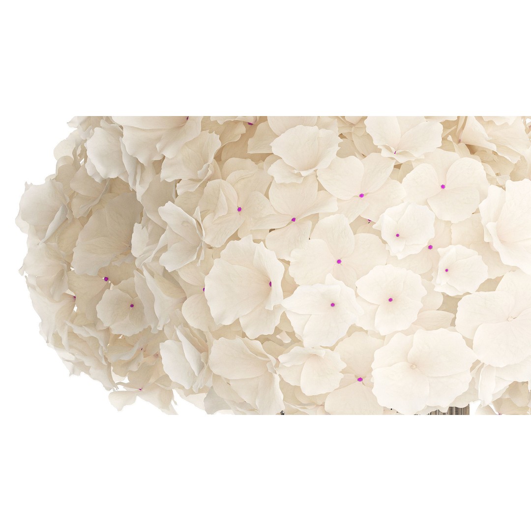 Solemn White Flower Bouquet 3D Model – Modern Hydrangea in Glass Vase - View 5