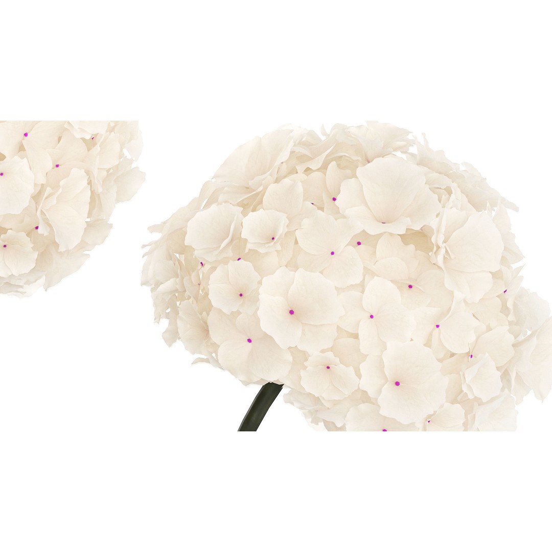 Solemn White Flower Bouquet 3D Model – Modern Hydrangea in Glass Vase - View 7