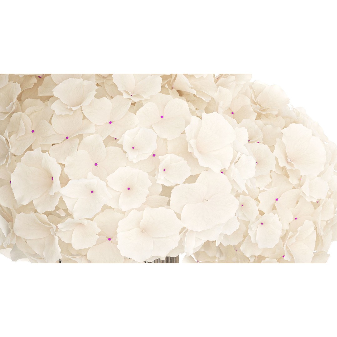 Solemn White Flower Bouquet 3D Model – Modern Hydrangea in Glass Vase - View 8