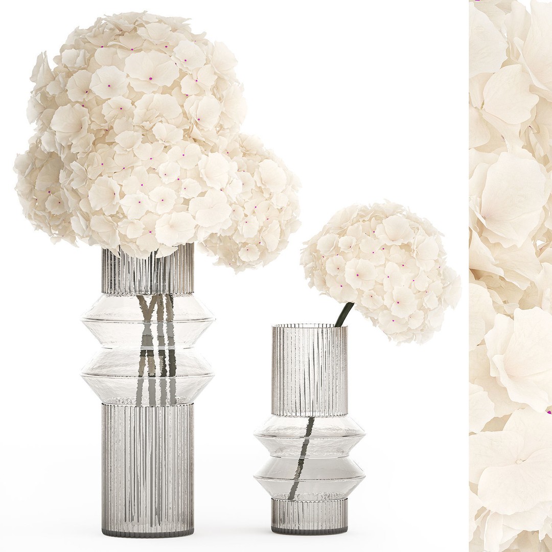 Solemn White Flower Bouquet 3D Model – Modern Hydrangea in Glass Vase - View 9