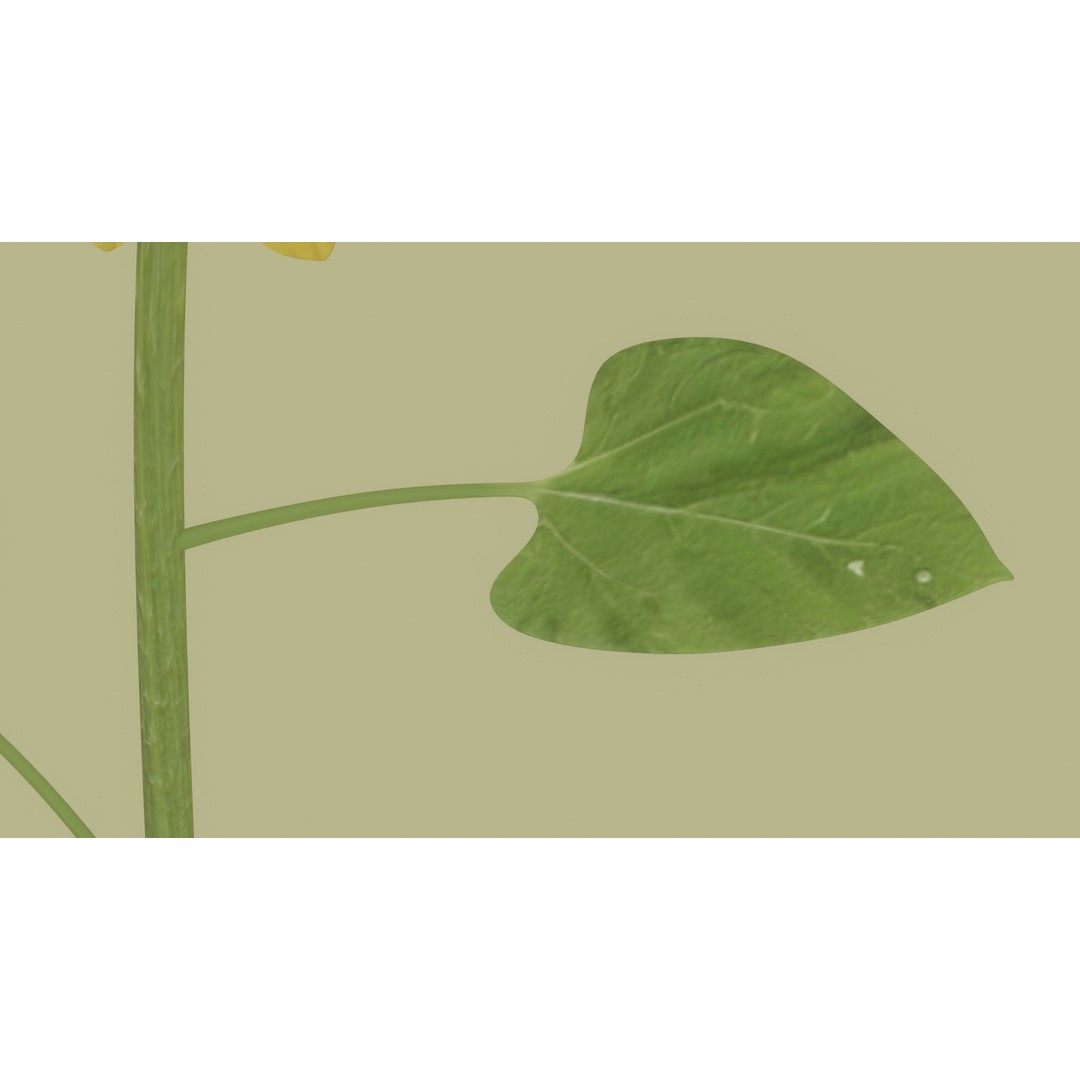 Sunflower 3D Model – High Poly PBR Plant Asset, FBX, OBJ - View 13