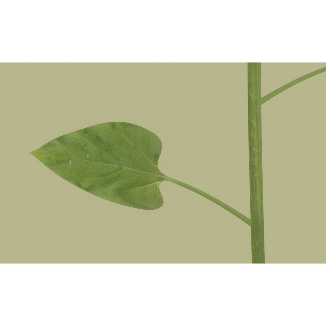 Sunflower 3D Model – High Poly PBR Plant Asset, FBX, OBJ - View 14