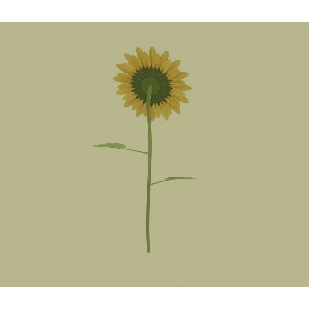 Sunflower 3D Model – High Poly PBR Plant Asset, FBX, OBJ - View 6
