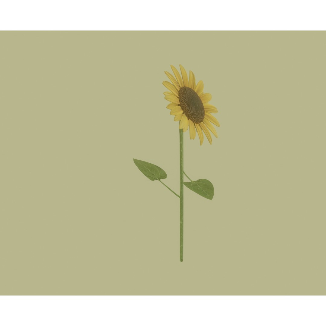 Sunflower 3D Model – High Poly PBR Plant Asset, FBX, OBJ - View 8