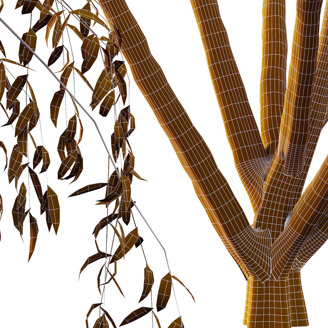 Eucalyptus Robusta Trees 08 3D Model – High Poly PBR Asset, FBX & OBJ - View 3