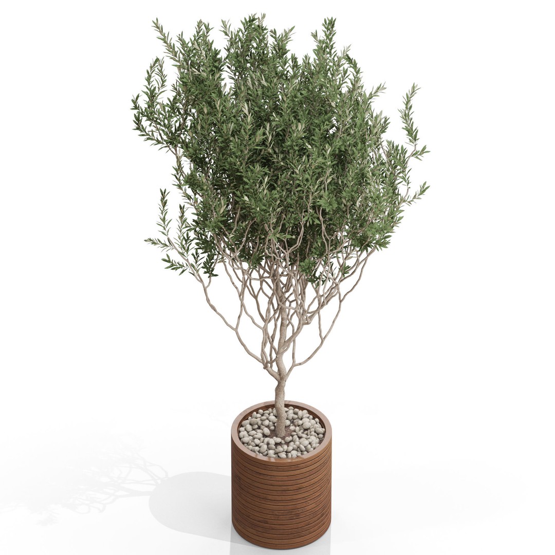 Plants Collection 730 3D Model – High Quality PBR Asset, FBX, OBJ - View 4