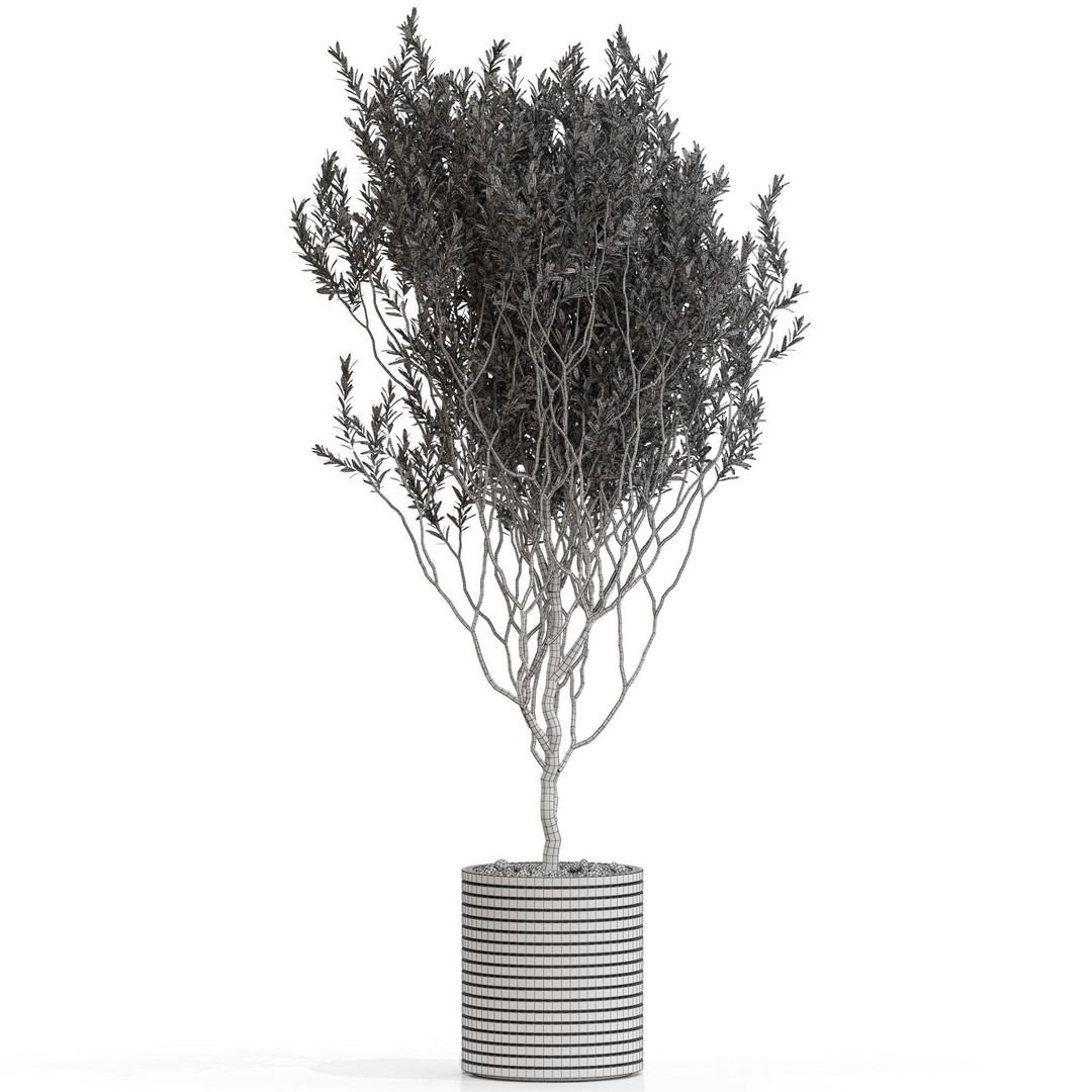 Plants Collection 730 3D Model – High Quality PBR Asset, FBX, OBJ - View 5