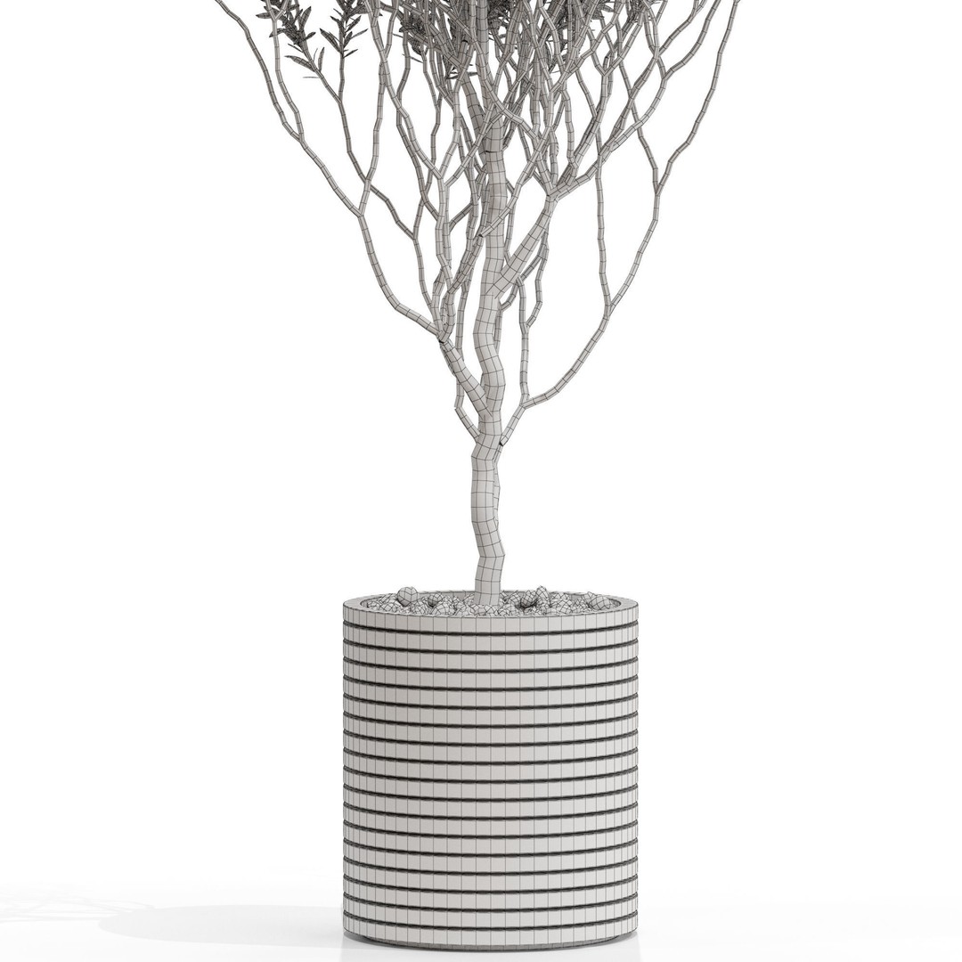 Plants Collection 730 3D Model – High Quality PBR Asset, FBX, OBJ - View 6
