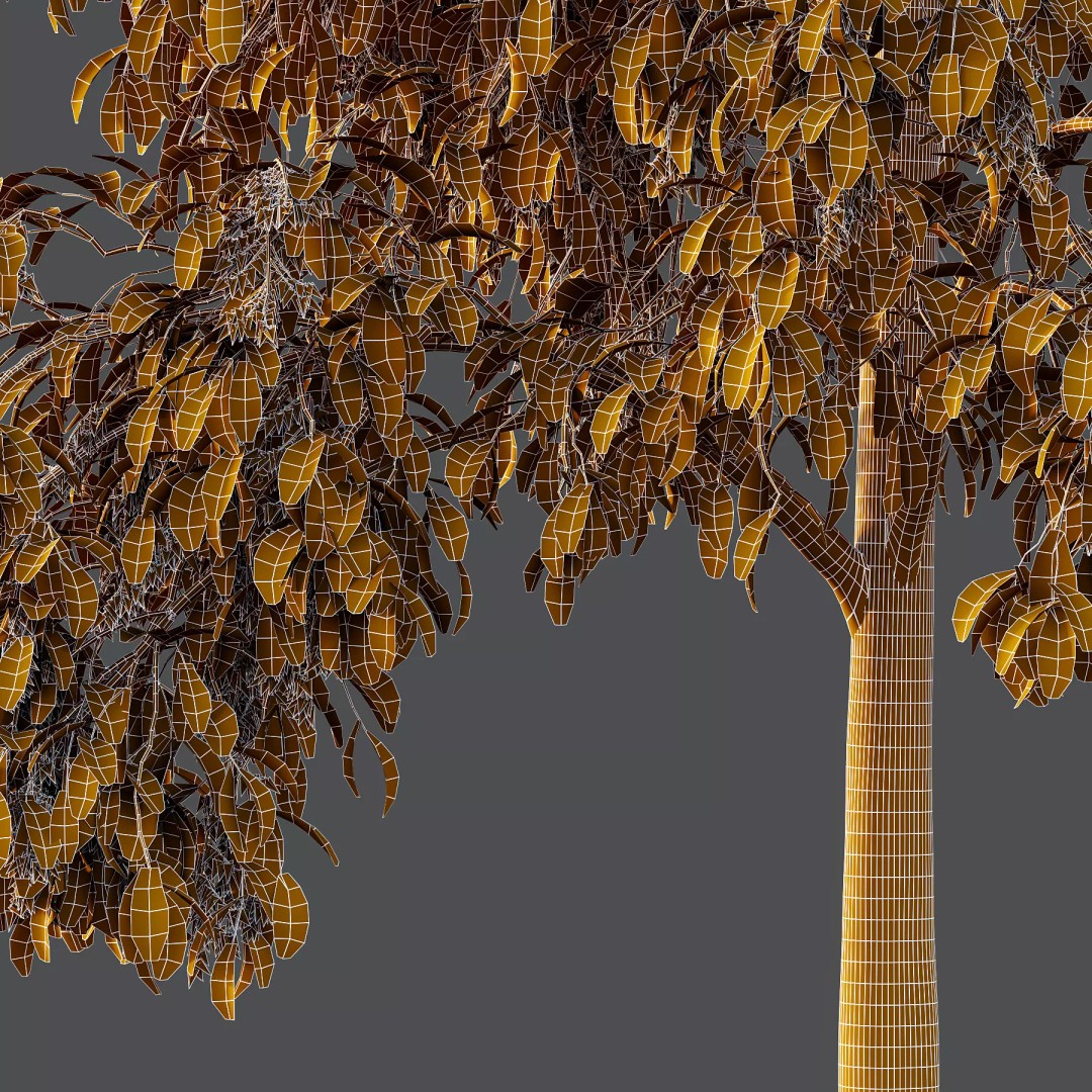 Oxydendrum Arboreum Tree 3D Model – High Poly PBR Asset, FBX, OBJ