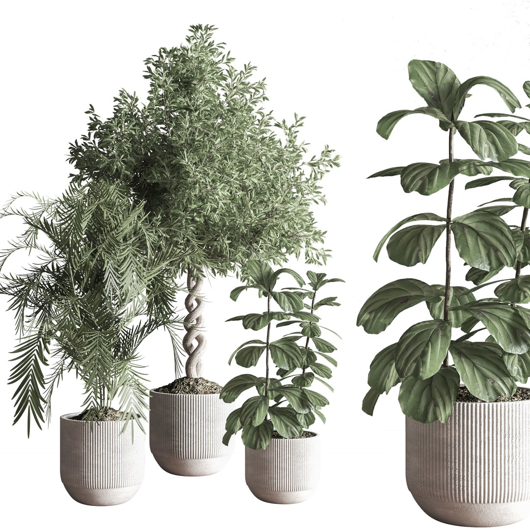 Indoor Plant 3D Model – PBR Pot Plant with UV Mapping, OBJ