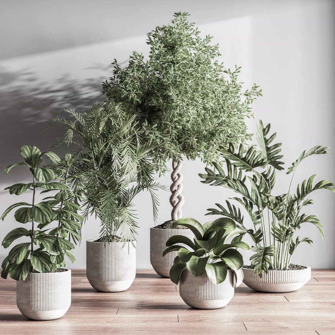 Indoor Plant 3D Model – PBR Pot Plant with UV Mapping, OBJ - View 2