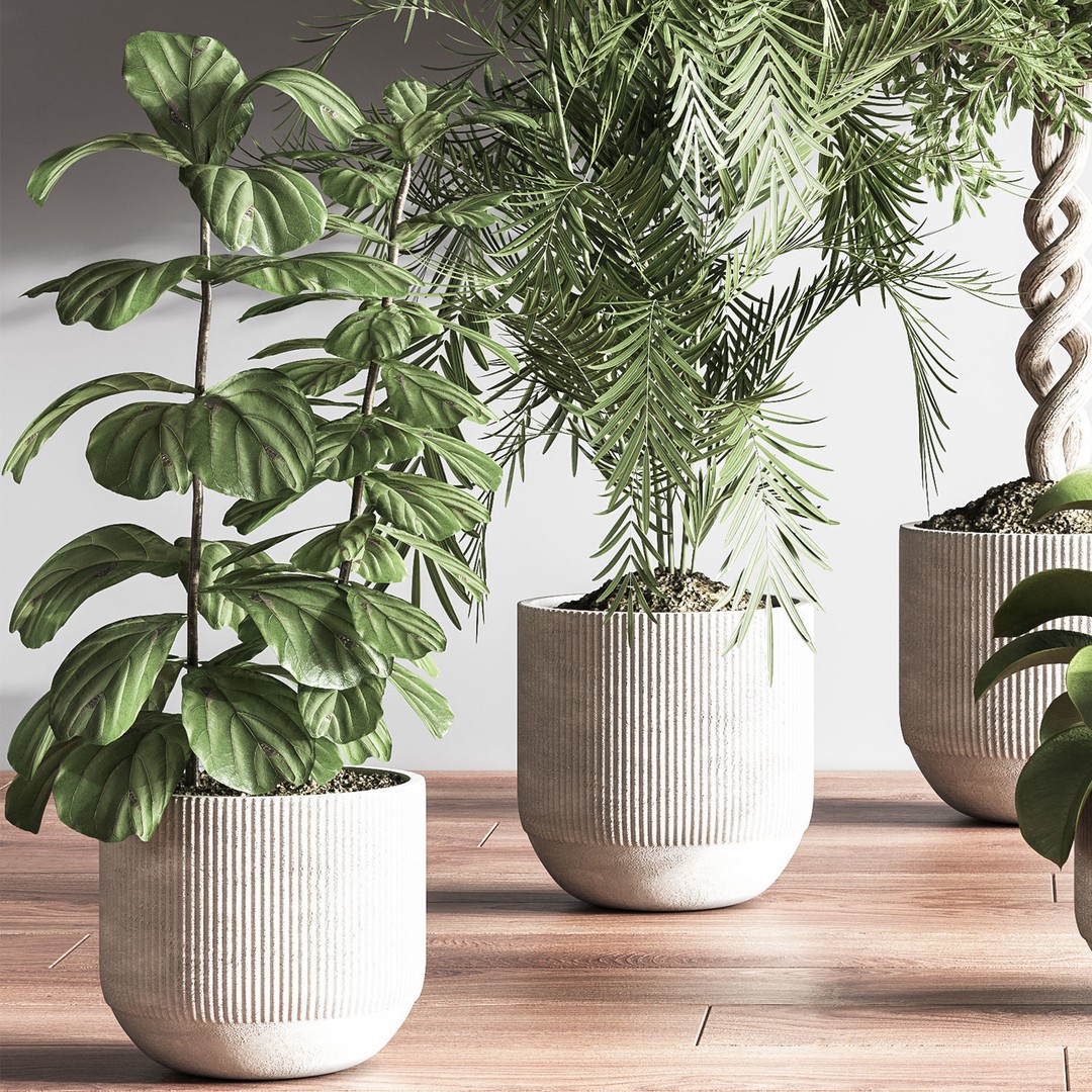 Indoor Plant 3D Model – PBR Pot Plant with UV Mapping, OBJ - View 4