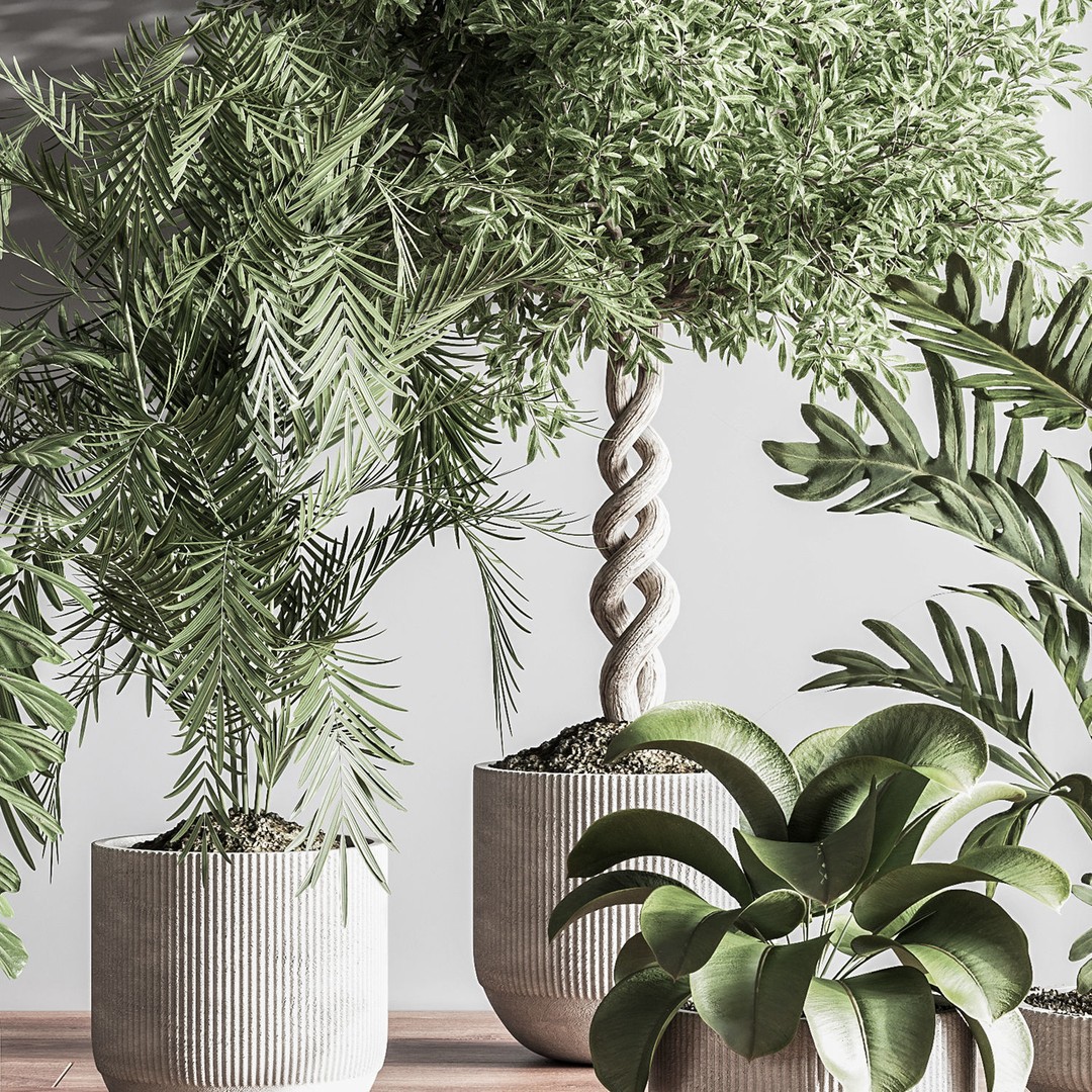 Indoor Plant 3D Model – PBR Pot Plant with UV Mapping, OBJ - View 5