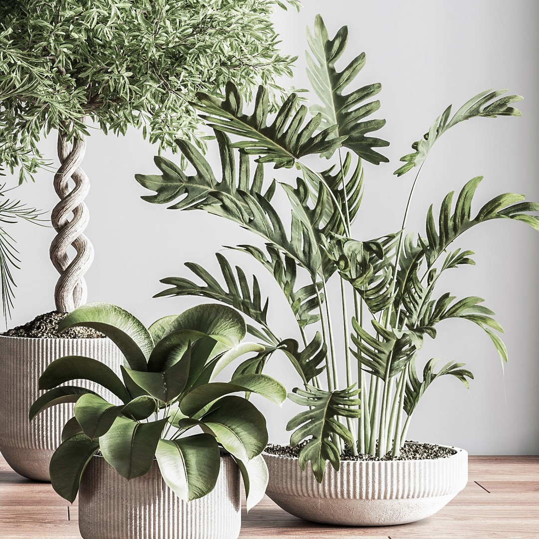 Indoor Plant 3D Model – PBR Pot Plant with UV Mapping, OBJ - View 6