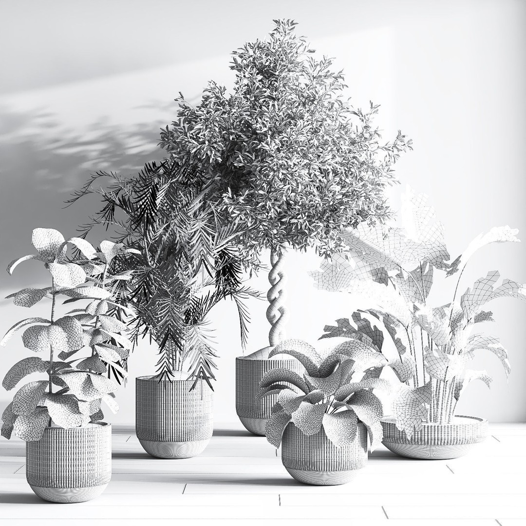 Indoor Plant 3D Model – PBR Pot Plant with UV Mapping, OBJ - View 8