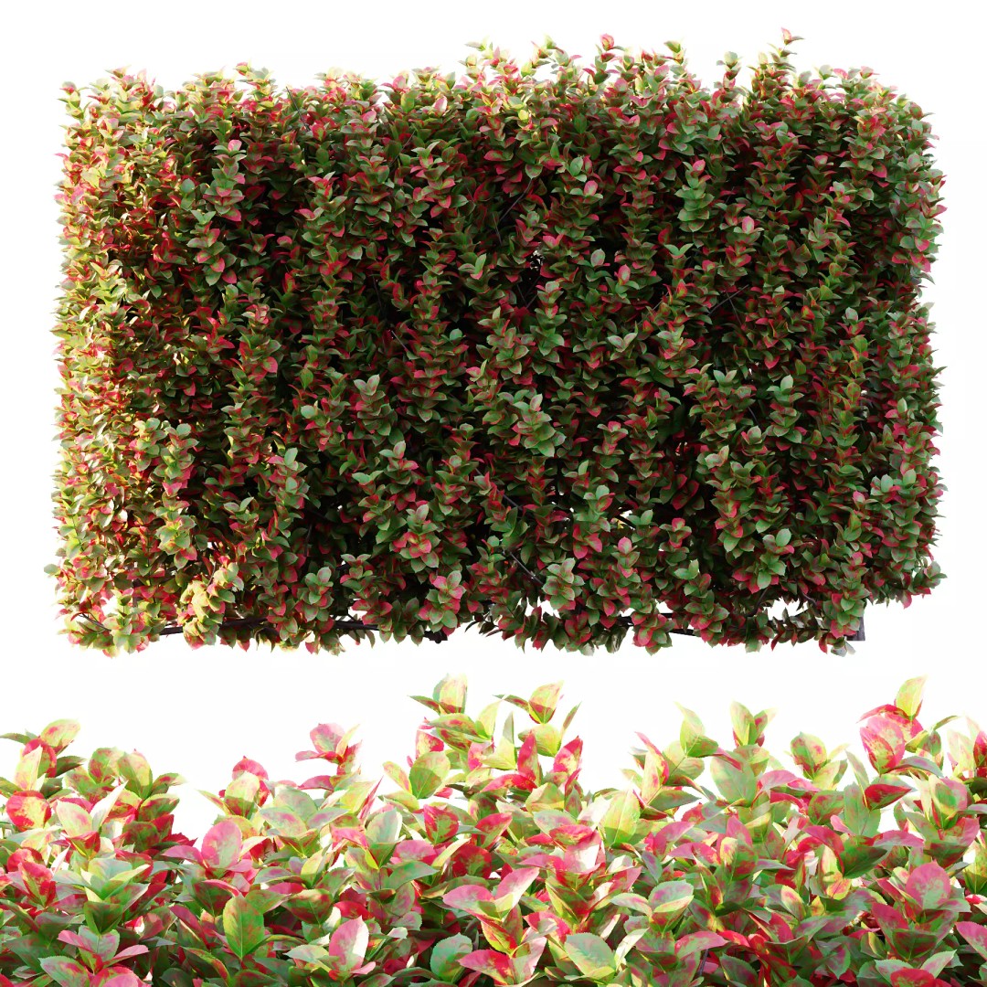Euonymus 3D Model – High Poly PBR Plant Asset, FBX, OBJ - View 4