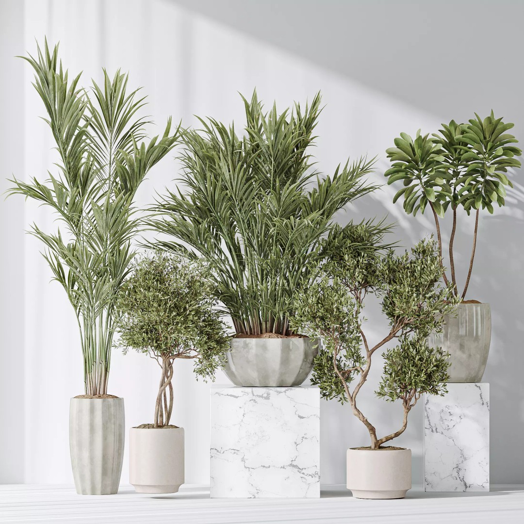 Indoor Plant Set 03 3D Model – Realistic Pot Plants, FBX, OBJ - View 2