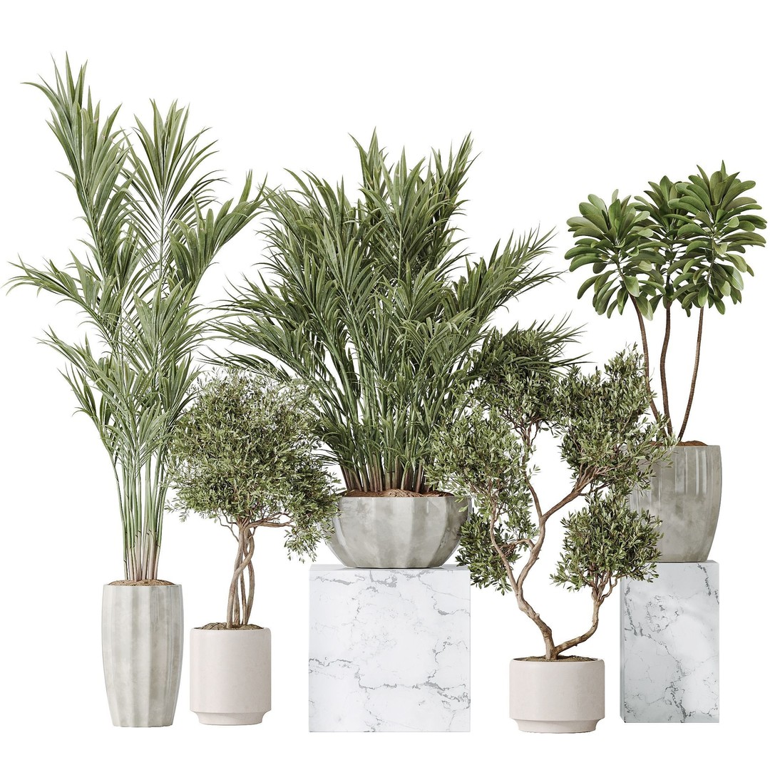 Indoor Plant Set 03 3D Model – Realistic Pot Plants, FBX, OBJ - View 3