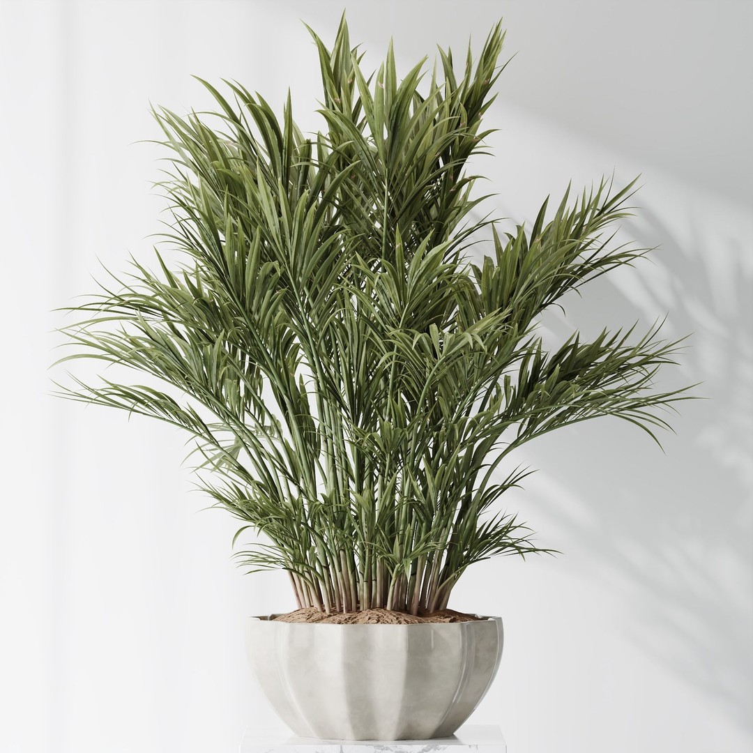 Indoor Plant Set 03 3D Model – Realistic Pot Plants, FBX, OBJ - View 4