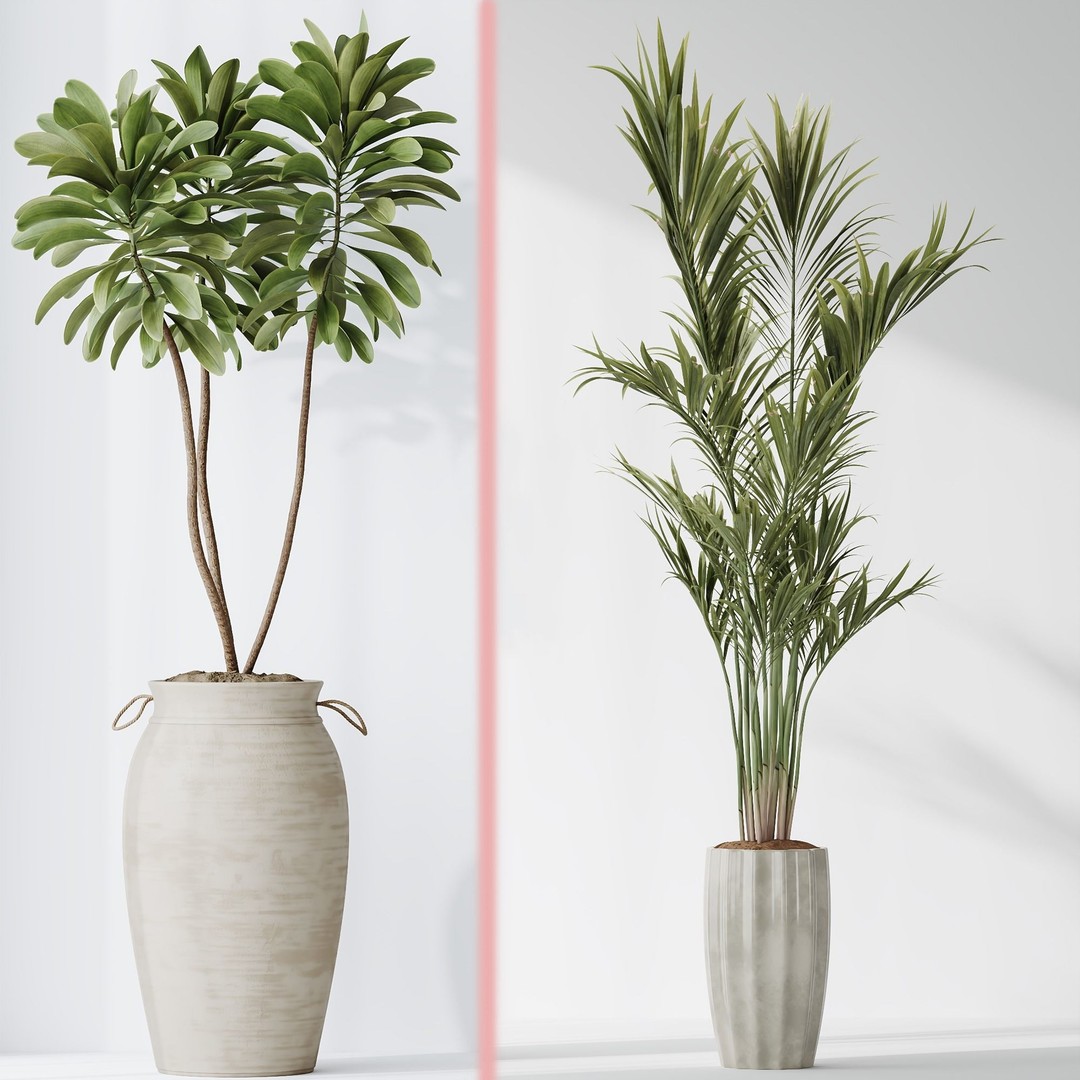 Indoor Plant Set 03 3D Model – Realistic Pot Plants, FBX, OBJ - View 6