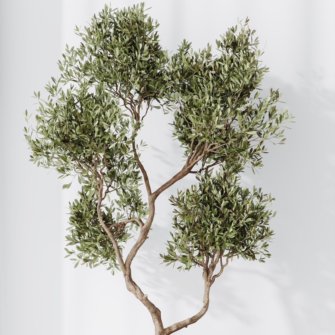 Indoor Plant Set 03 3D Model – Realistic Pot Plants, FBX, OBJ - View 7
