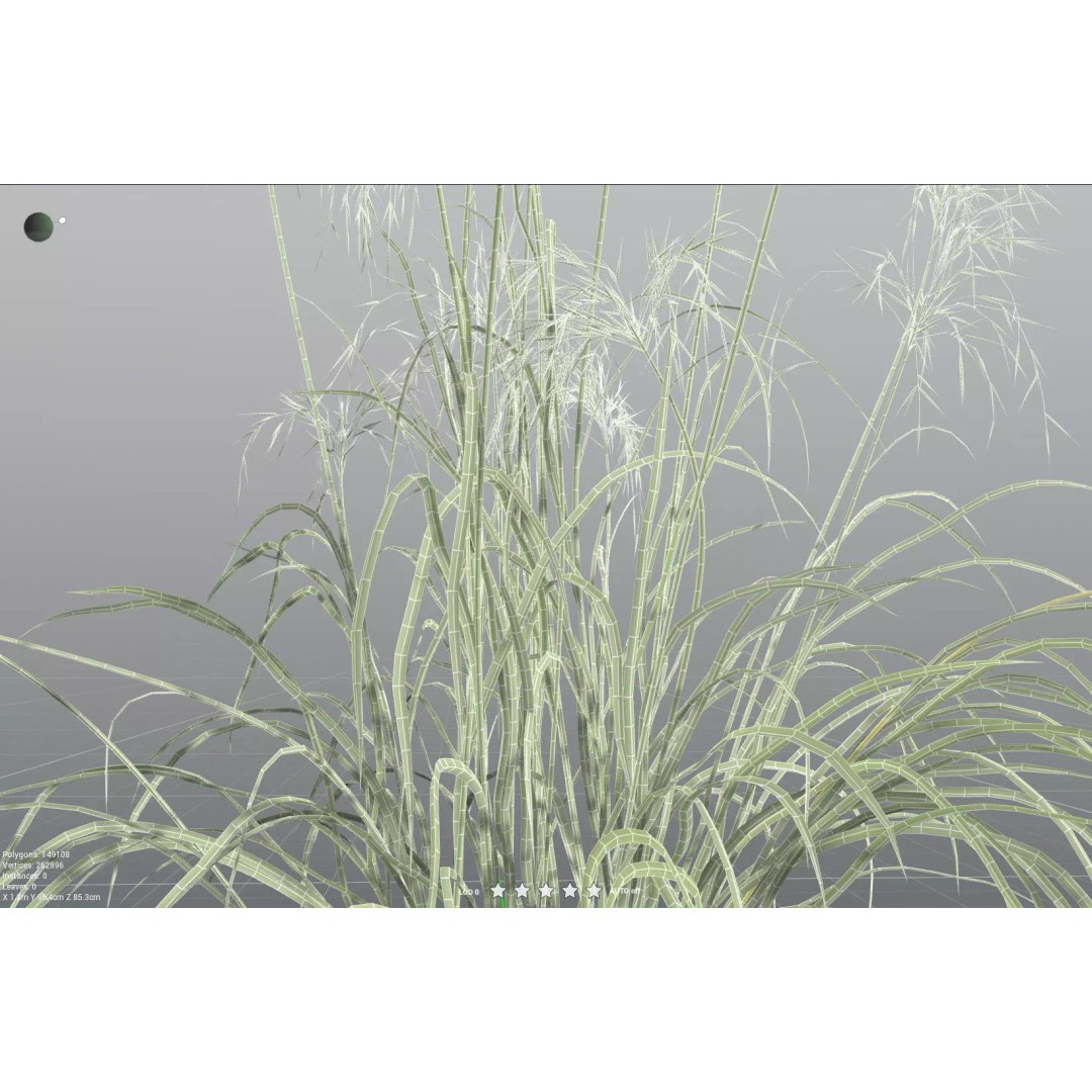 Downy Brome 3D Model – High Poly PBR Grass Asset, FBX