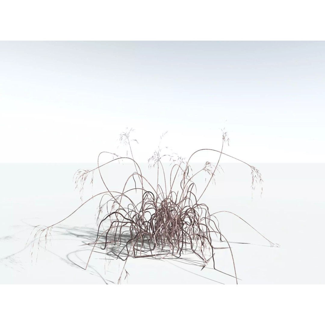 Downy Brome 3D Model – High Poly PBR Grass Asset, FBX - View 20