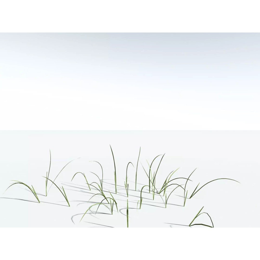 Downy Brome 3D Model – High Poly PBR Grass Asset, FBX - View 31