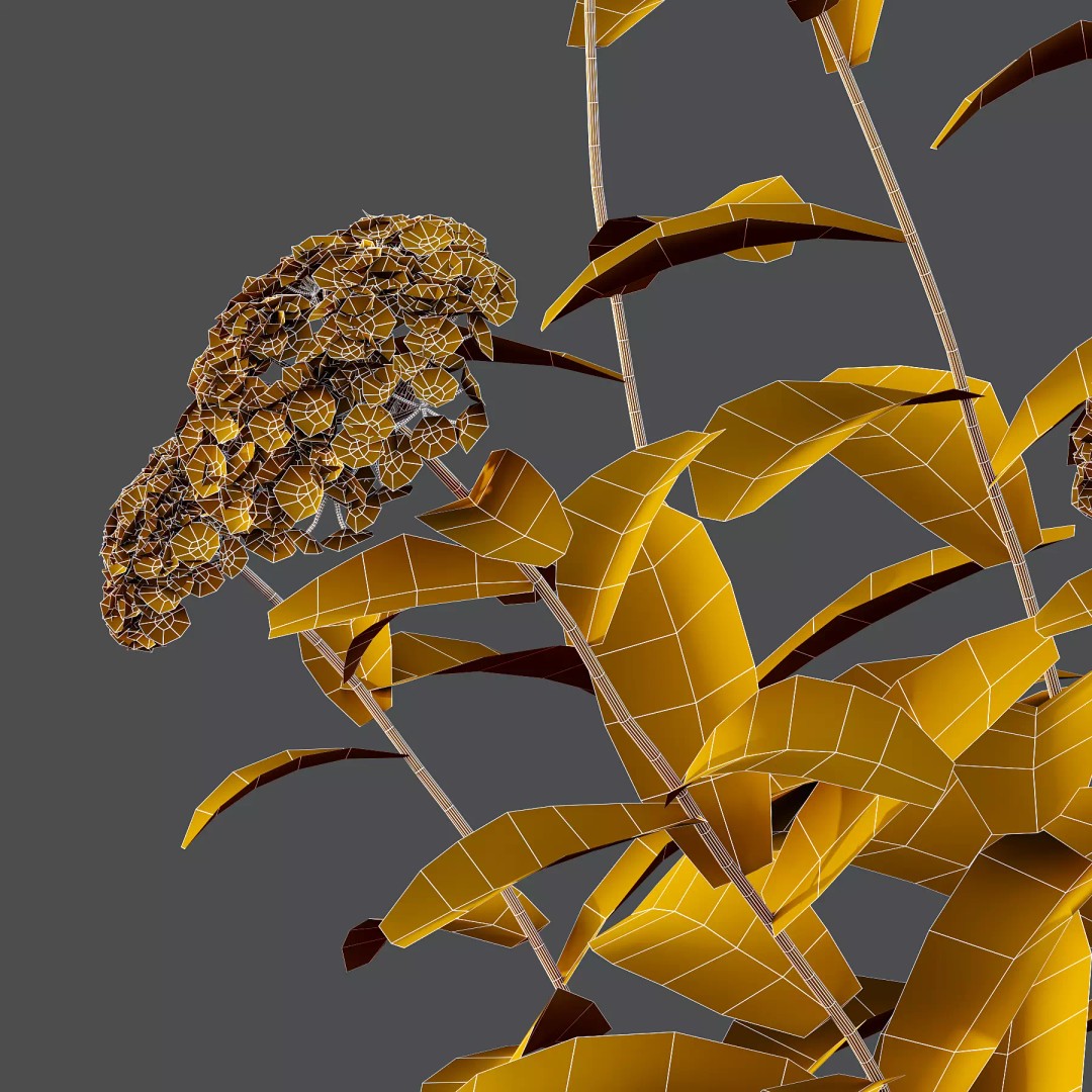 Verbena Rigida Flower Plant 3D Model – Realistic PBR Asset, FBX, Blender