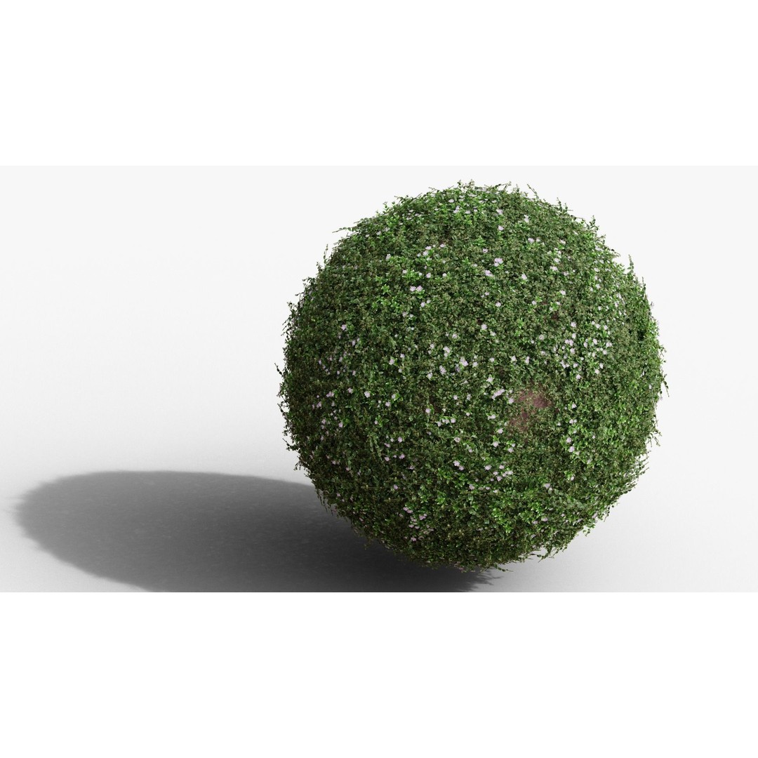 Vinca Minor 3D Model – Low Poly Ground Cover Plant, Blender - View 14