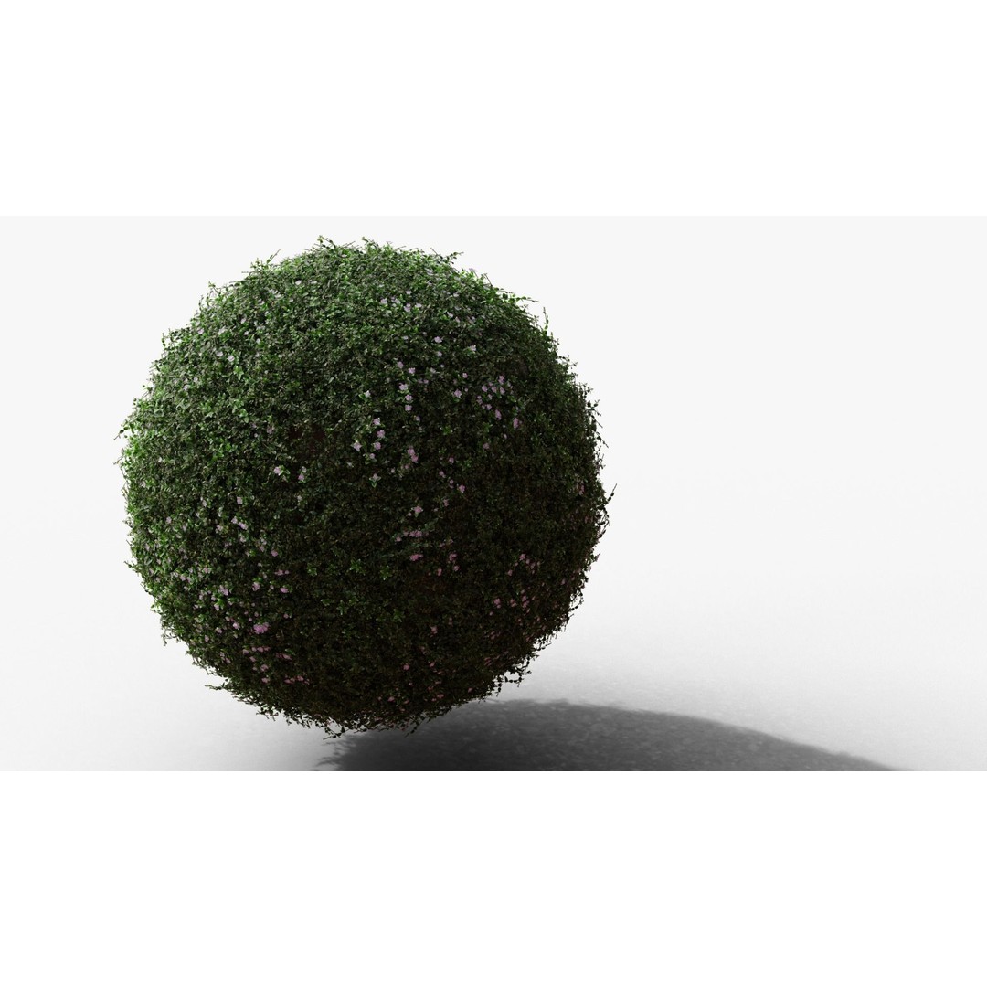 Vinca Minor 3D Model – Low Poly Ground Cover Plant, Blender - View 15