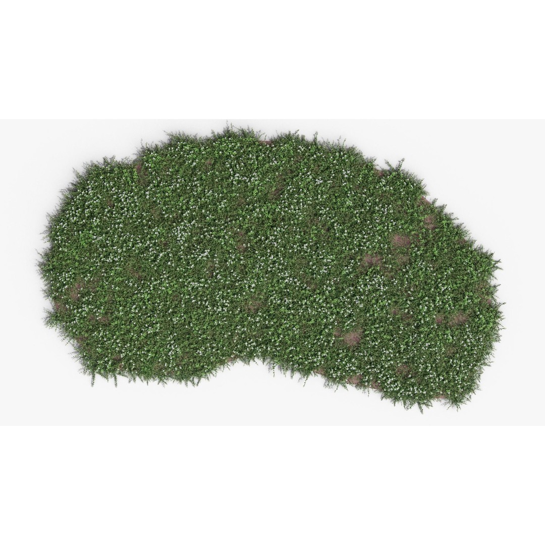 Vinca Minor 3D Model – Low Poly Ground Cover Plant, Blender - View 19