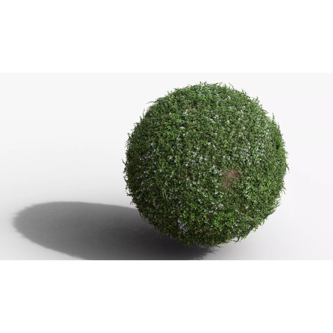 Vinca Minor 3D Model – Low Poly Ground Cover Plant, Blender - View 2