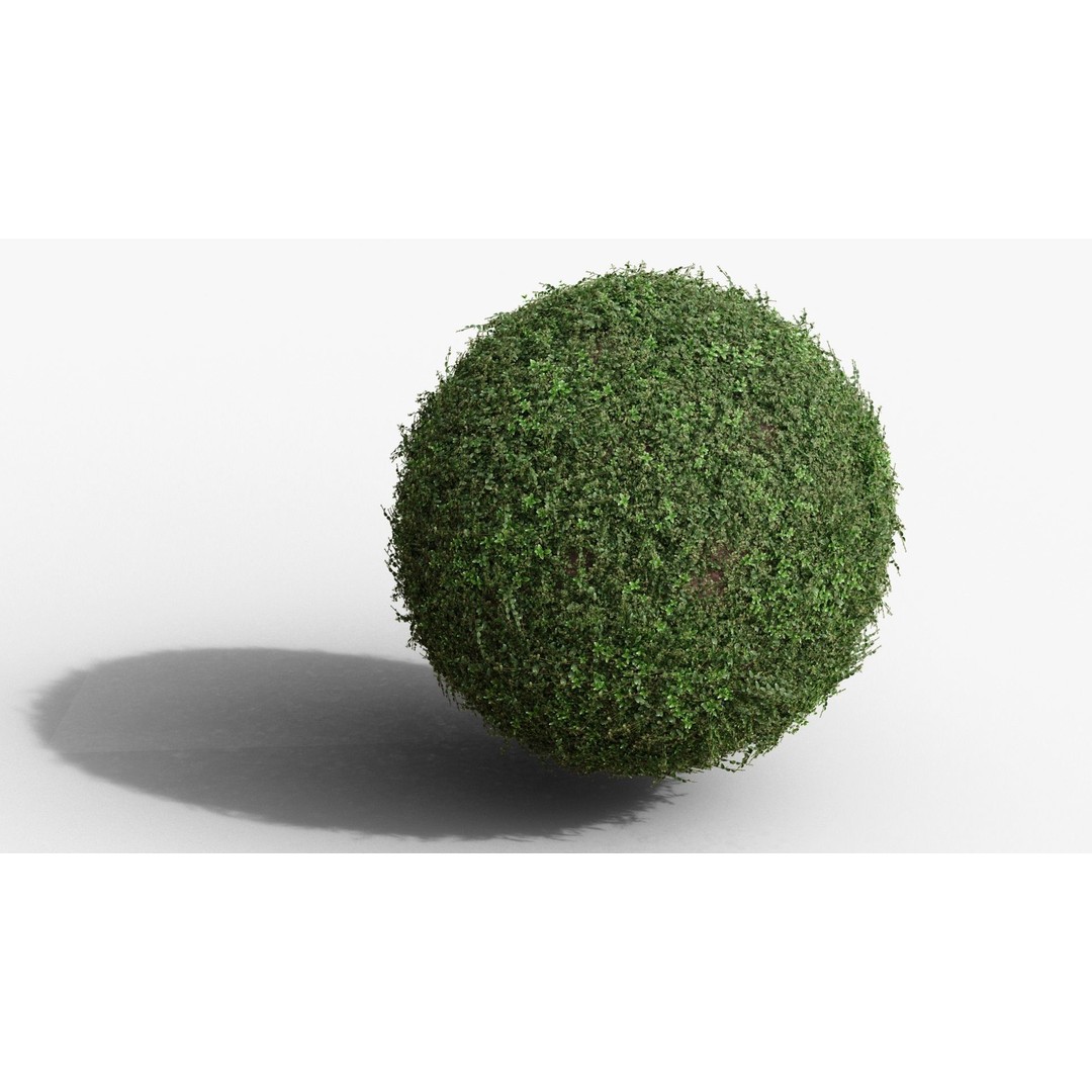 Vinca Minor 3D Model – Low Poly Ground Cover Plant, Blender - View 3