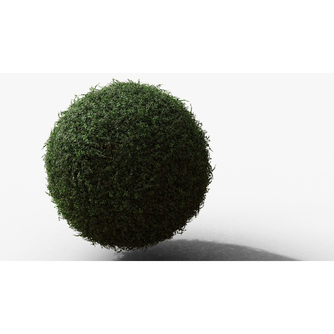 Vinca Minor 3D Model – Low Poly Ground Cover Plant, Blender - View 4