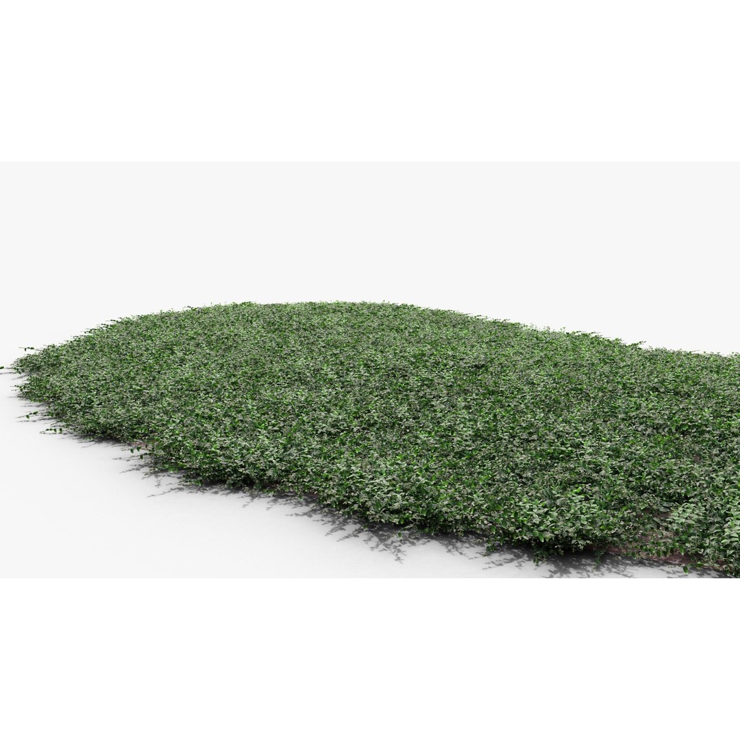 Vinca Minor 3D Model – Low Poly Ground Cover Plant, Blender - View 7