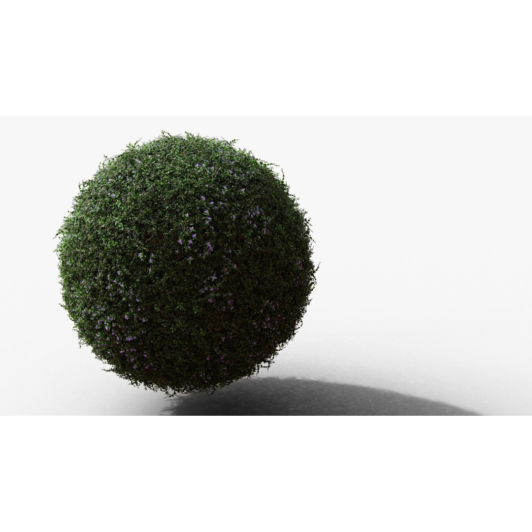 Vinca Minor 3D Model – Low Poly Ground Cover Plant, Blender - View 9