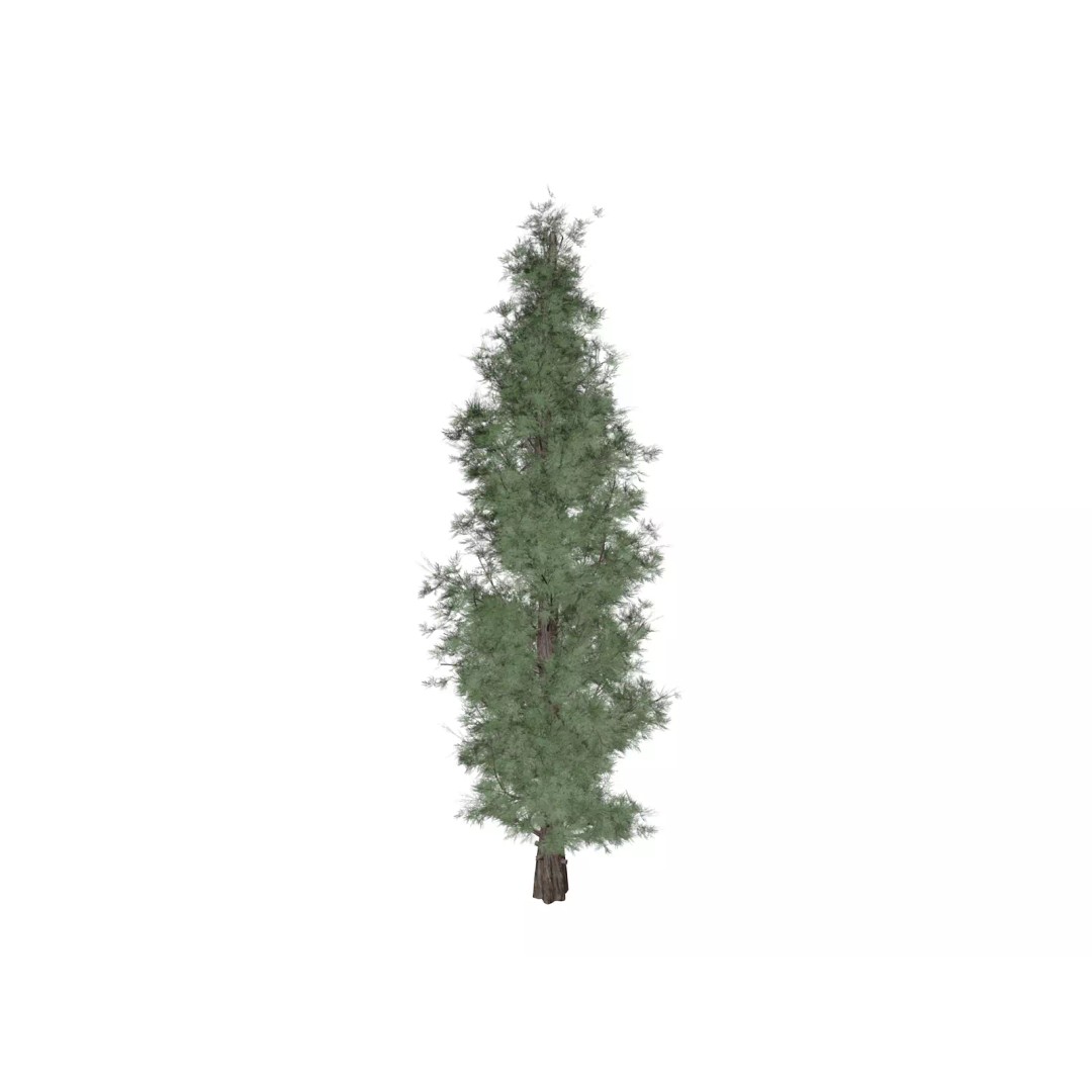 Eastern Red Cedar Tree 3D Model – Photorealistic Game Asset, PBR - View 2