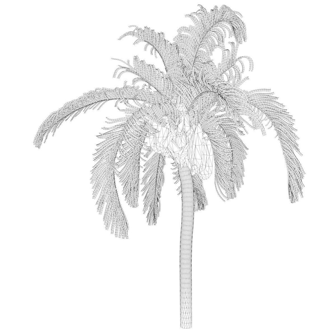 Queen Palm Tree 3D Model – Photorealistic Game Asset, FBX - View 3