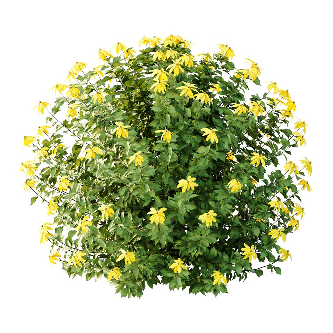 Different Bush 3D Model – High Poly PBR Plant Asset, FBX, OBJ - View 3