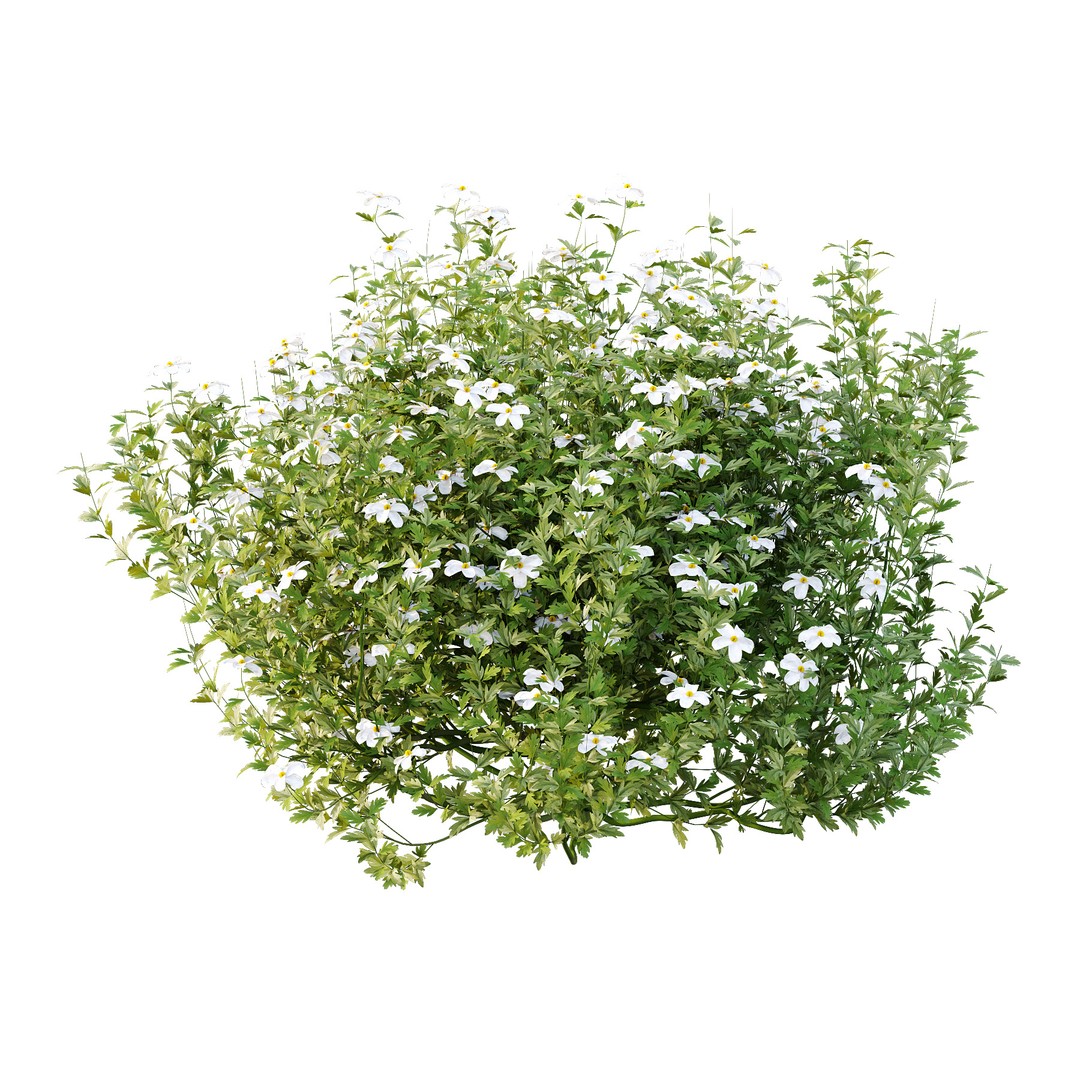Different Bush 3D Model – High Poly PBR Plant Asset, FBX, OBJ - View 4
