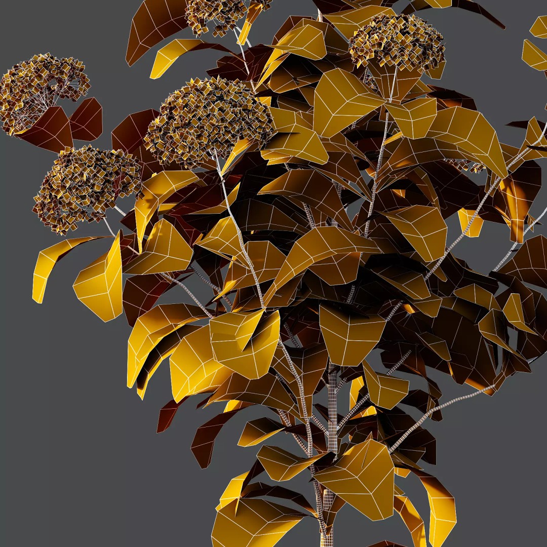 Hydrangea Arborescens Bush 3D Model – Realistic PBR Asset, FBX, OBJ
