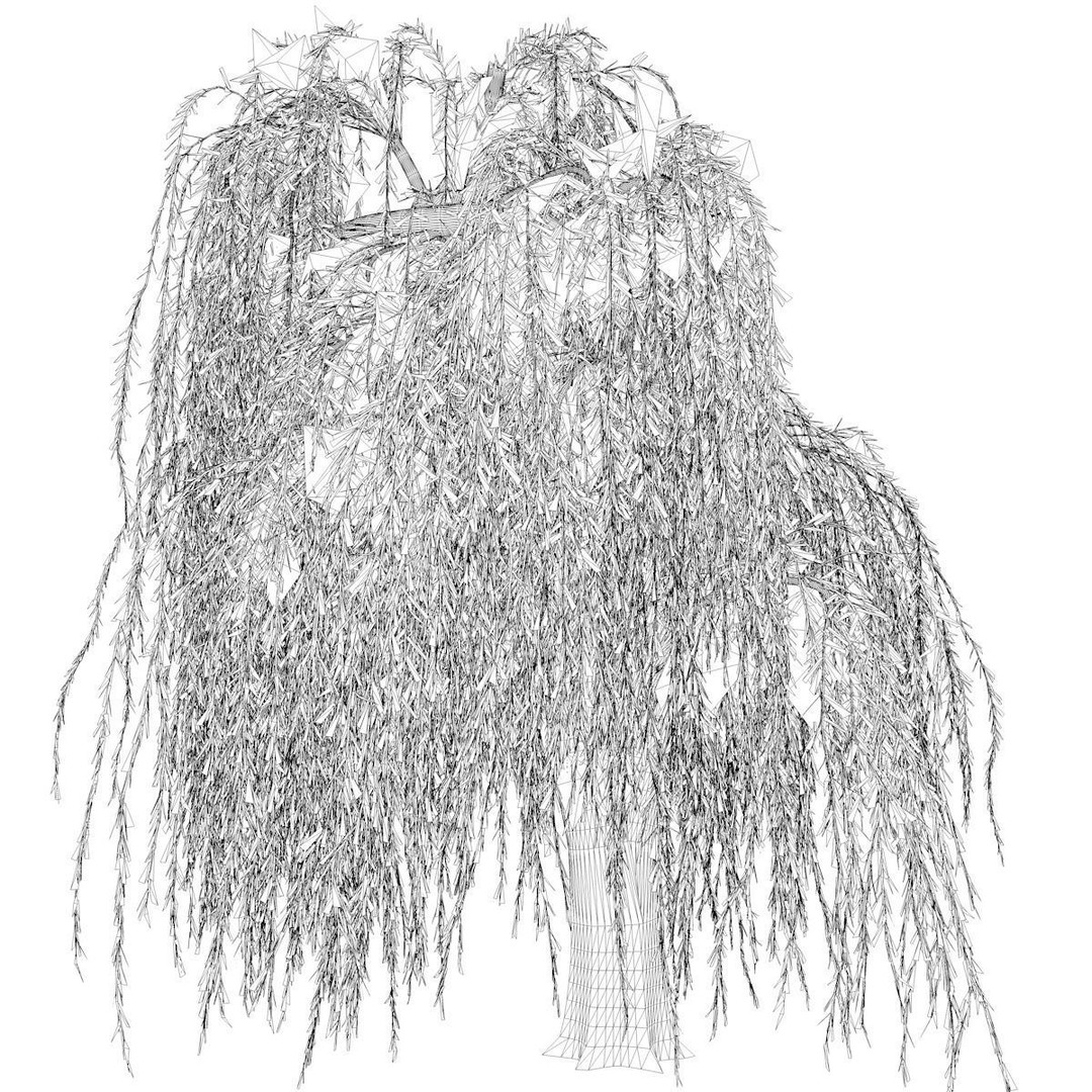 Weeping Willow Tree 3D Model – Photorealistic Landscape Asset, FBX - View 3