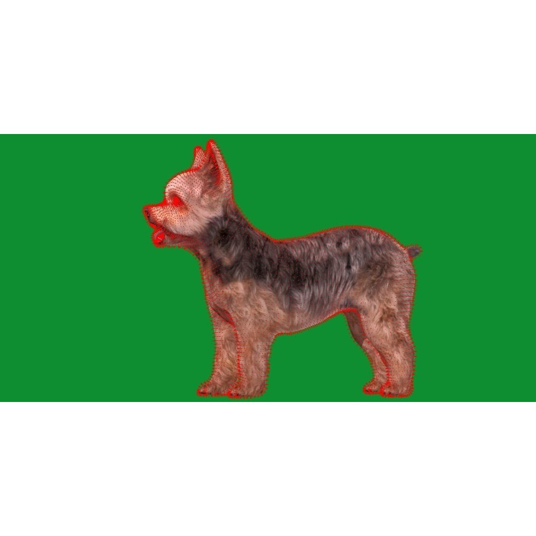 Yorkshire Terrier Dog 3D Model – Low Poly Game Ready, FBX & Blender - View 17