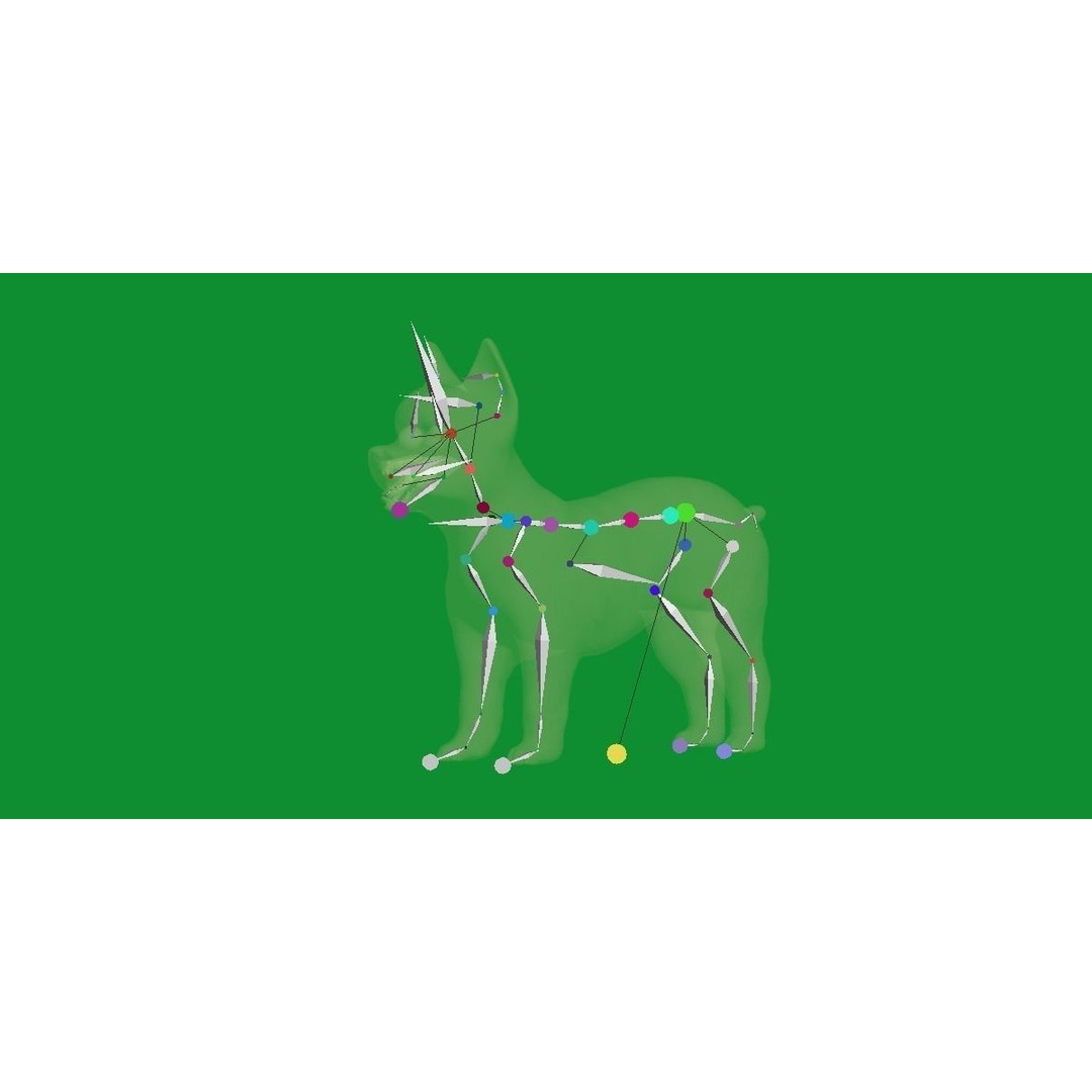 Yorkshire Terrier Dog 3D Model – Low Poly Game Ready, FBX & Blender - View 27