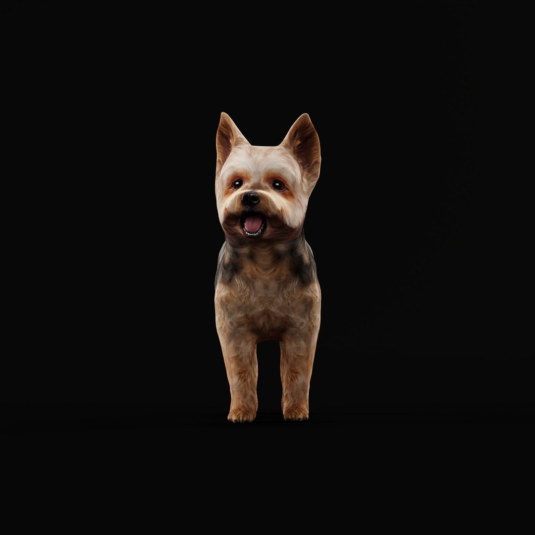 Yorkshire Terrier Dog 3D Model – Low Poly Game Ready, FBX & Blender - View 31