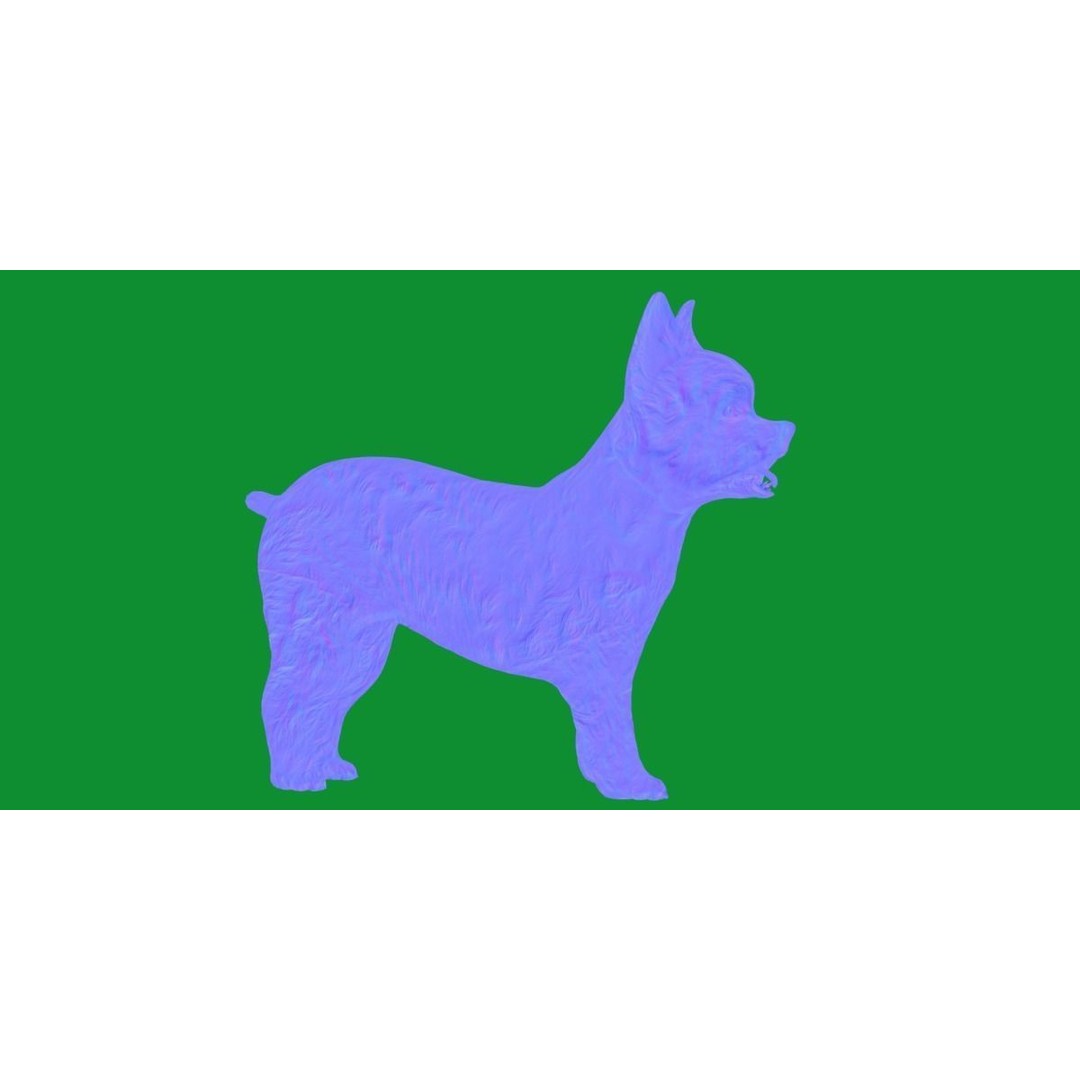 Yorkshire Terrier Dog 3D Model – Low Poly Game Ready, FBX & Blender - View 9