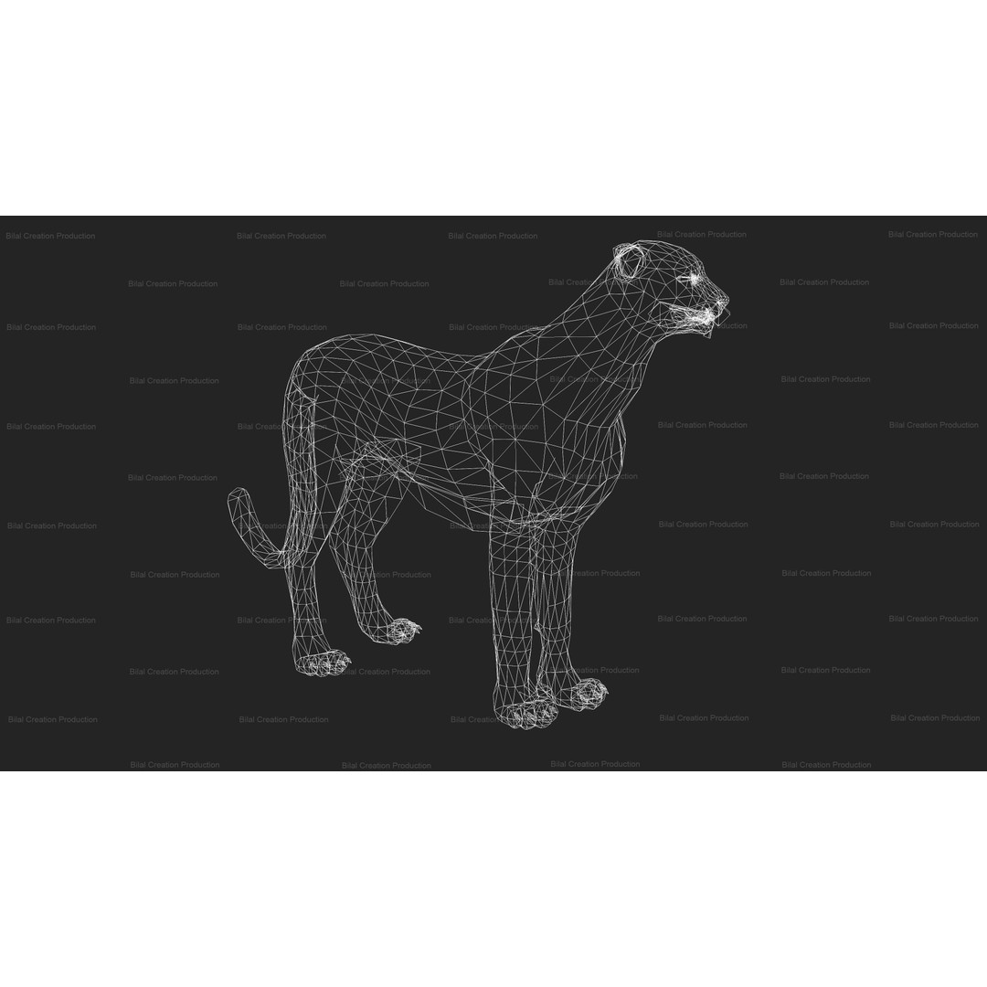 Cheetah 3D Model – Low Poly Rigged Animated Character, FBX